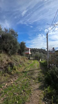 Rrotonod Plasmasit - photos of  for Land