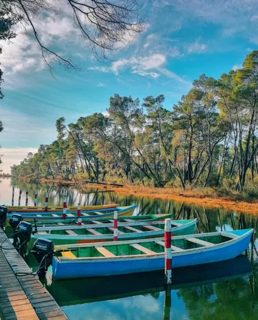 Zdjęcie hotel na sprzedaż Divjakë, Rruga e Divjakes, Lushnjë