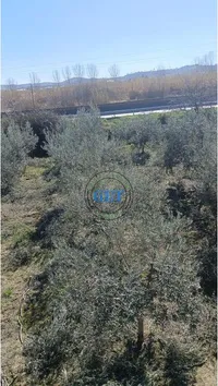 Spitallë - photos of  for Land