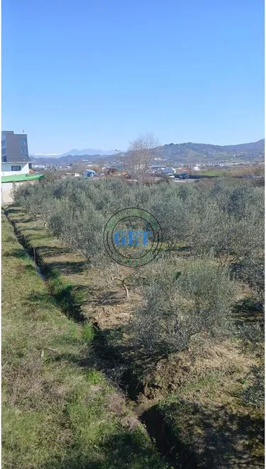 Foto e Tokë në shitje Spitallë, Durrës