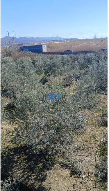 Zdjęcie land na sprzedaż Spitallë, Durrës
