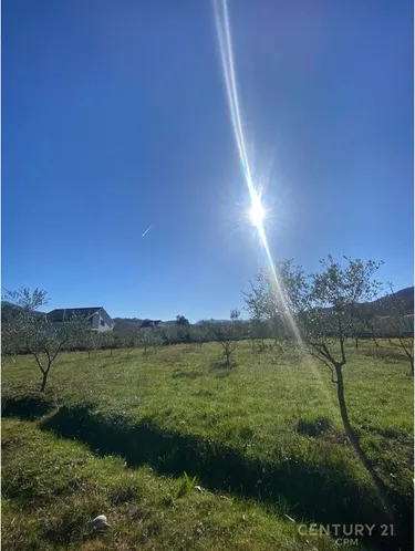 Фото land на продажу Petrelë, Fshati Tagan, Tiranë