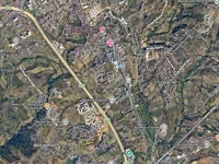 Teg - photos of  for Office