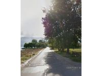 Pogradec - photos of  for Land